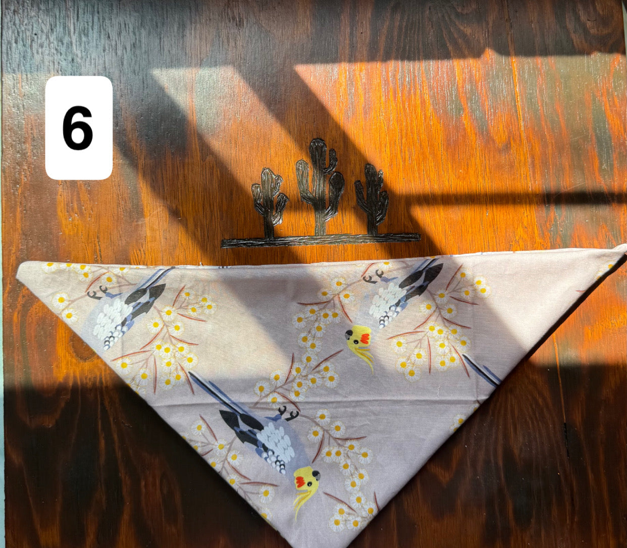 Native Scarves