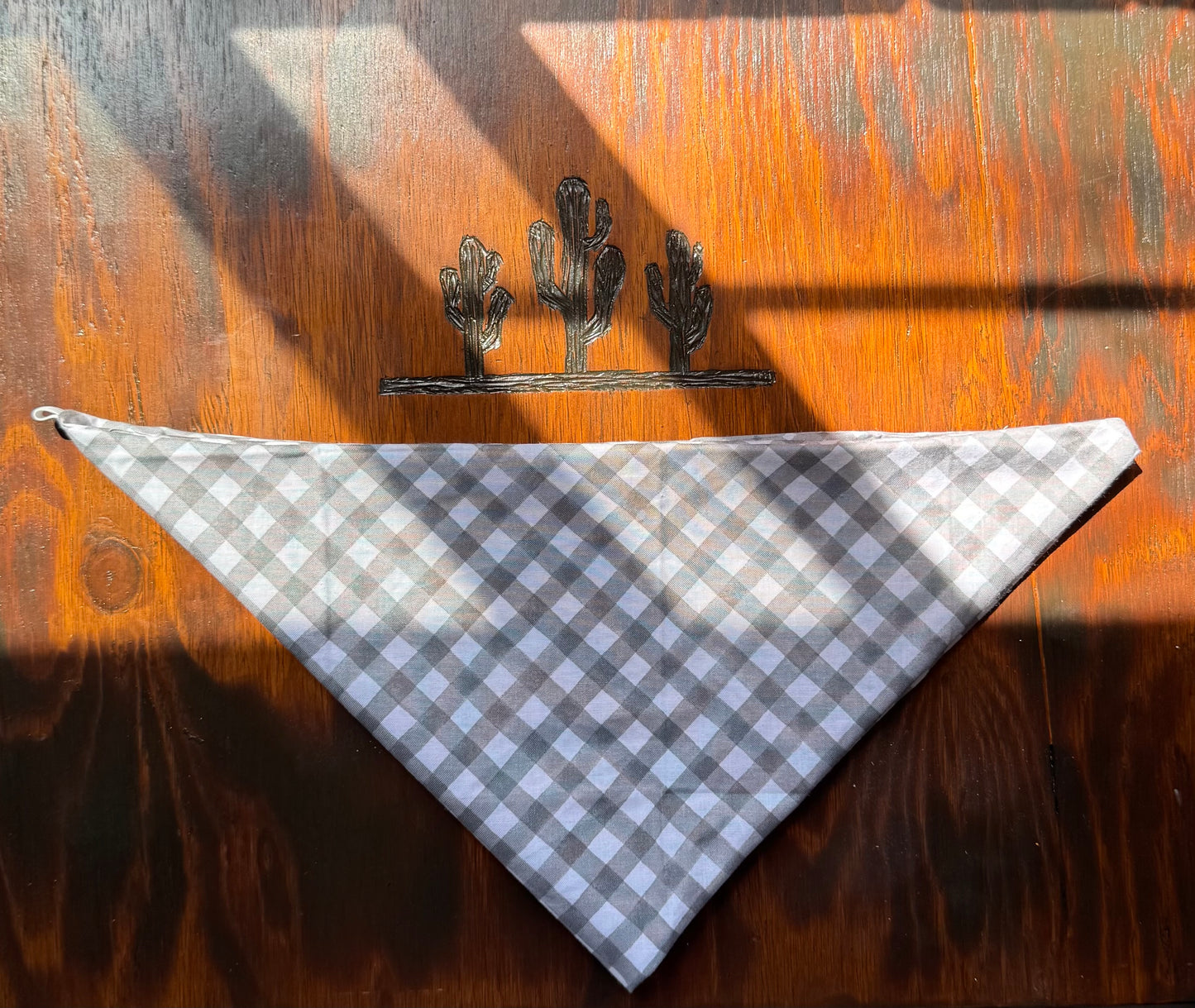 Checks