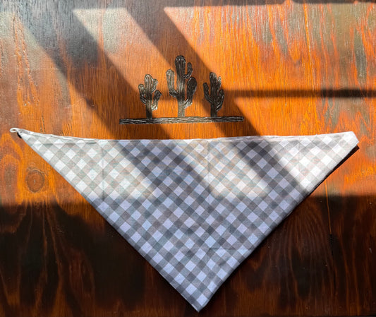 Checks