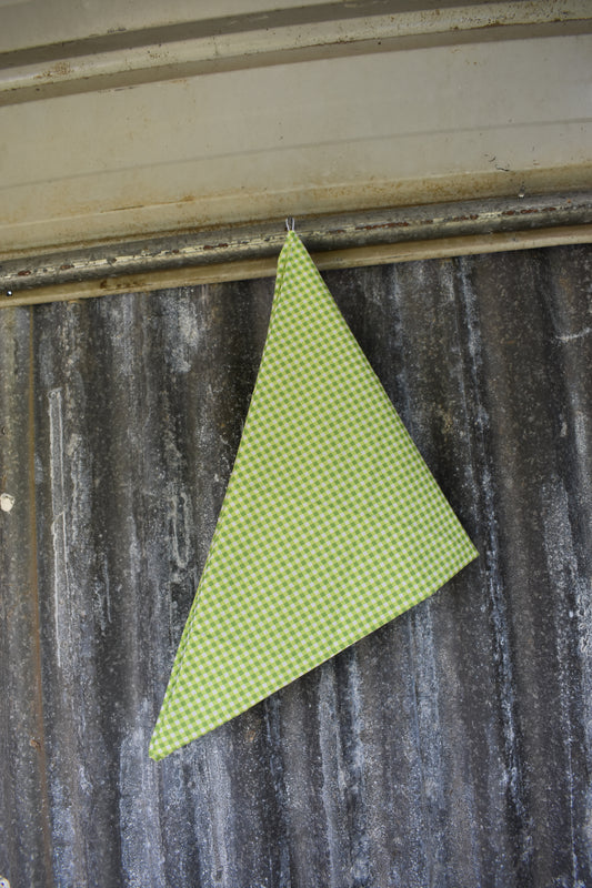 Light Green Gingham